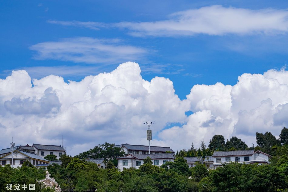 他们长大了！-yiowqvnjfggsk3lpr-　　在这种情况下，造林高度依赖于植树者的自驱力，而后者取决于林地能带来的直接收益。李七英说，起伏的坨子地需要人工平整。“现在都机械化了，但那时候要靠人力把地垫平”，否则沙地水流容易渗透汇聚到地势更低的地方。其次是开沟，人工要用铲子在沙地上划出一道道种树的沟来。有时候还没等到浇水，五六级风一刮，早上开的沟，下午就刮平了。村民们要趁着间隙种上树苗，树苗之间株距1米、行距6米，一亩地才种上100多棵。